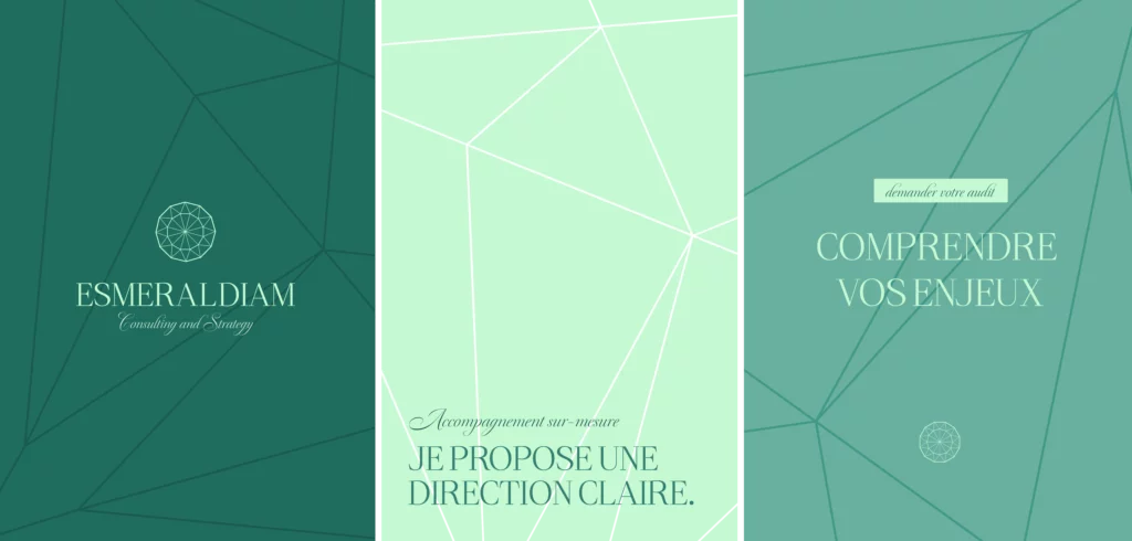 Déclinaison de l’identité visuelle consulting pour les réseaux sociaux